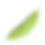 Leaf 3 Image
